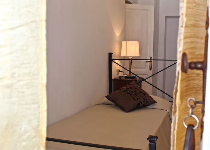 O Palmo ليباري