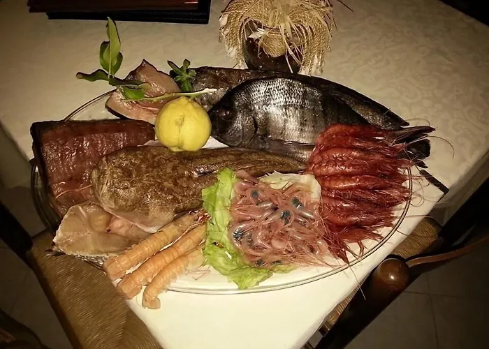 O Palmo ليباري