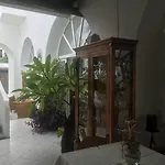 O Palmo 3*
