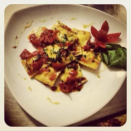 O Palmo 파나레아