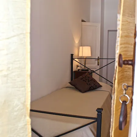 O Palmo 파나레아