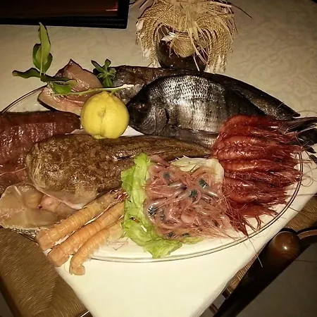 O Palmo 파나레아