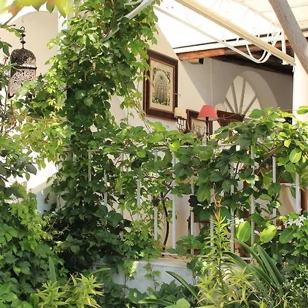 O Palmo 3* 파나레아